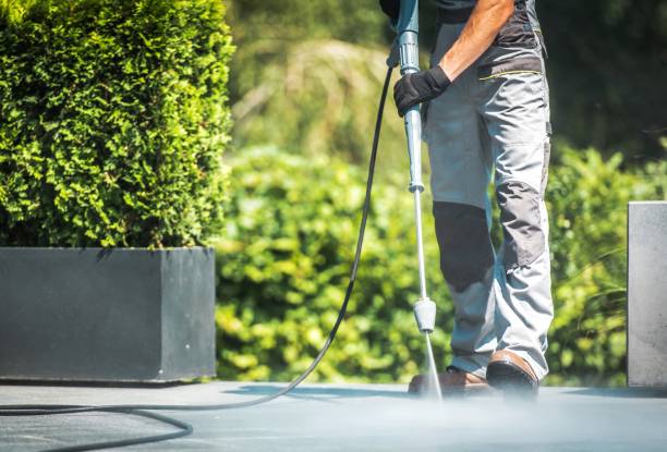 Best Roof Washing  in Homestead Valley, CA