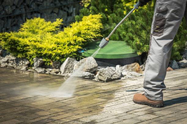 Best Sign and Awning Cleaning  in Homestead Valley, CA